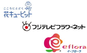 【加盟店限定プラン】ホームページ＆ネットショップ制作